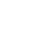 Catstudio